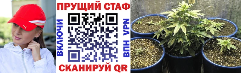 Где купить наркотики Шилка Гашиш  МЕТАДОН  Амфетамин  Alpha-PVP  Меф  Кокаин  Марихуана 