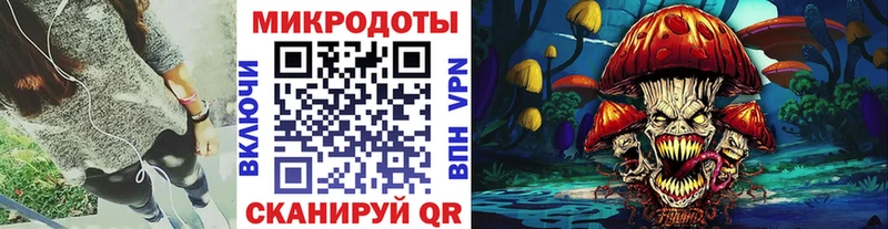 где купить наркоту Шилка Псилоцибиновые грибы прущие грибы